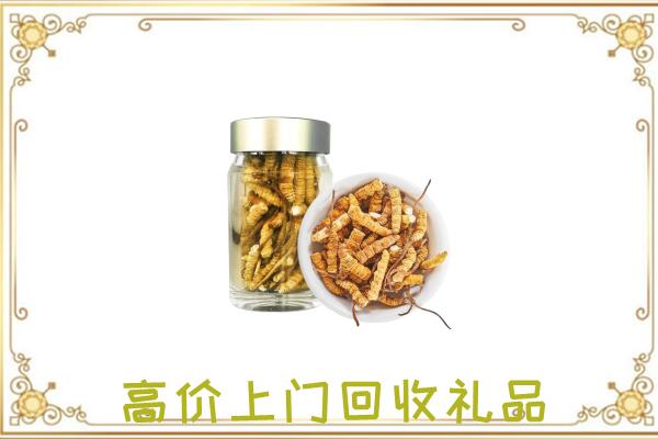 醴陵周边回收虫草
